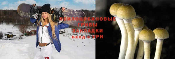 винт Верхний Тагил