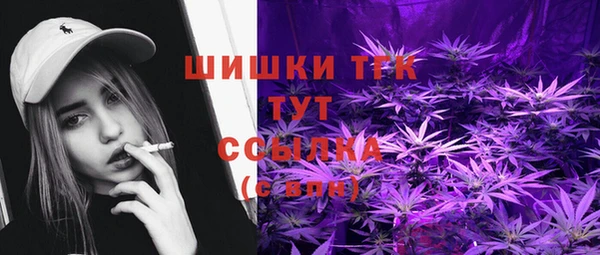 2c-b Бородино