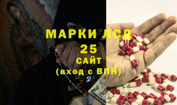 2c-b Бородино
