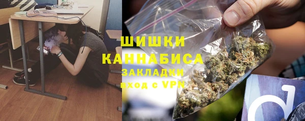 2c-b Бородино