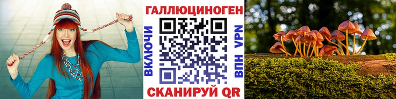 Галлюциногенные грибы Psilocybe продажа наркотиков darknet состав Жигулёвск